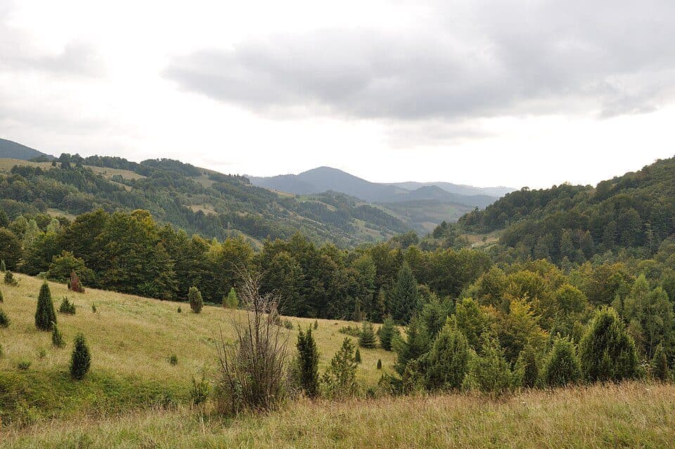 Poieni