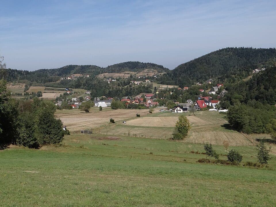 Zagórnik