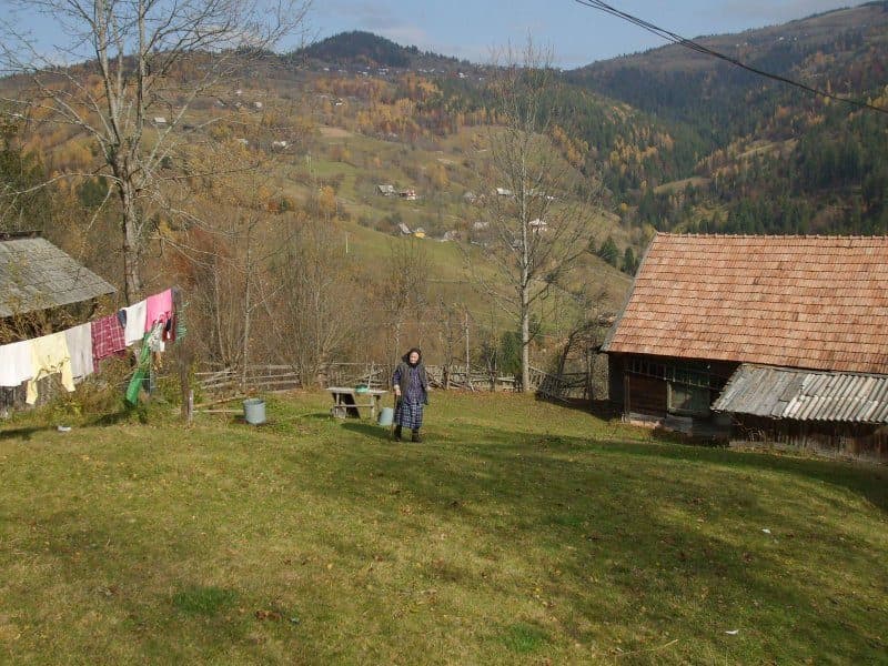 sat Albac - sat Horea