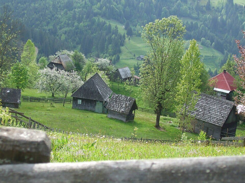 sat Albac - sat Horea