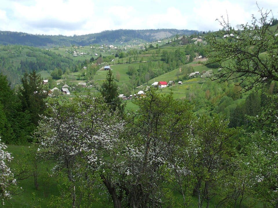 sat Albac - sat Horea