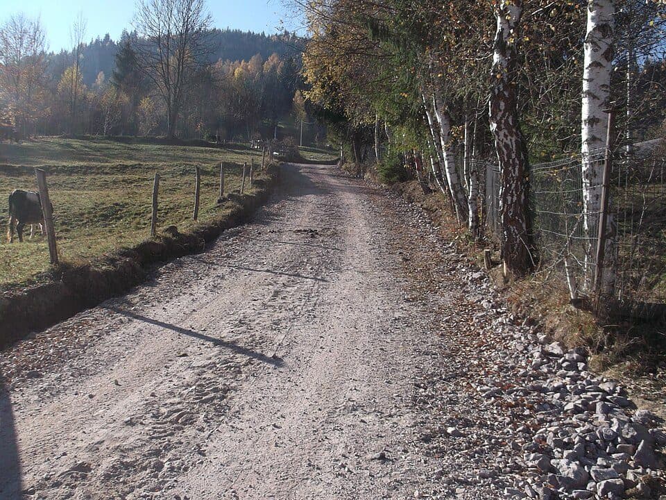 sat Albac - sat Horea