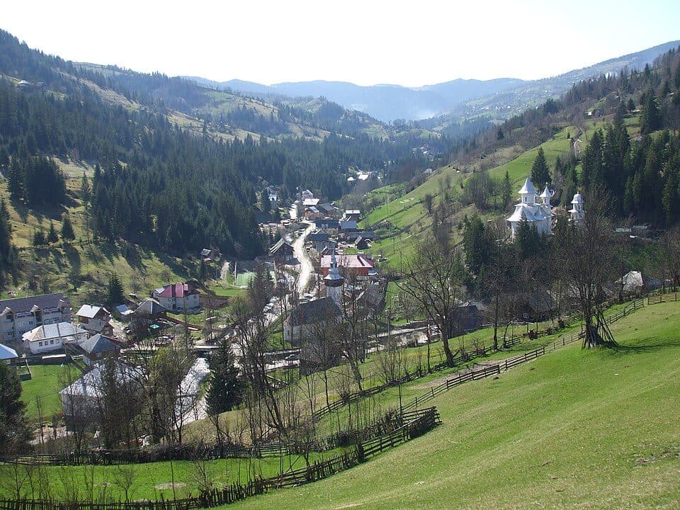sat Albac - sat Horea