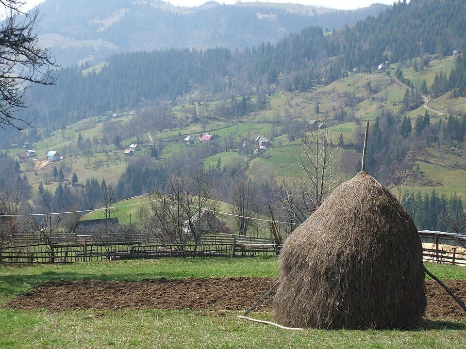 sat Albac - sat Horea