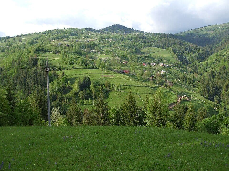 sat Albac - sat Horea