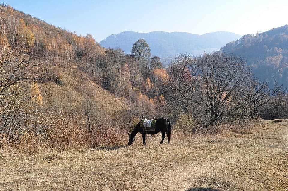 Cabana Râmeț - Cheia - Întregalde