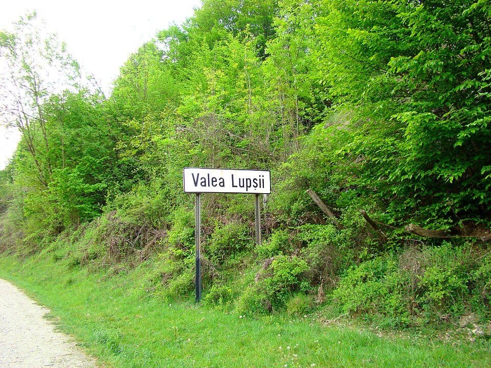 Stațiunea Muntele Băișorii - Vârful Neteda - Lupșa
