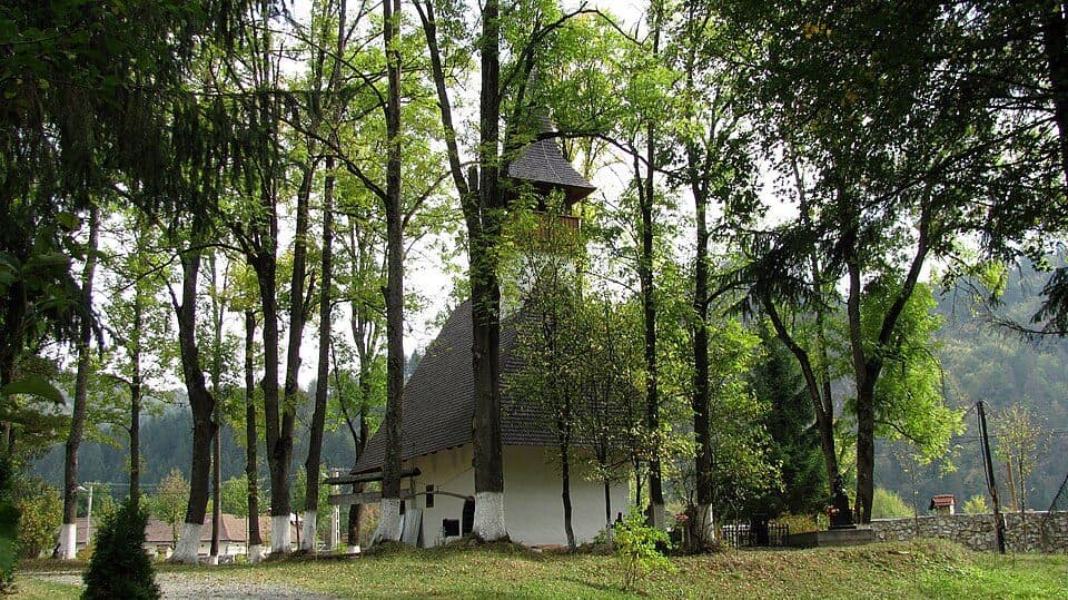 Stațiunea Muntele Băișorii - Vârful Neteda - Lupșa