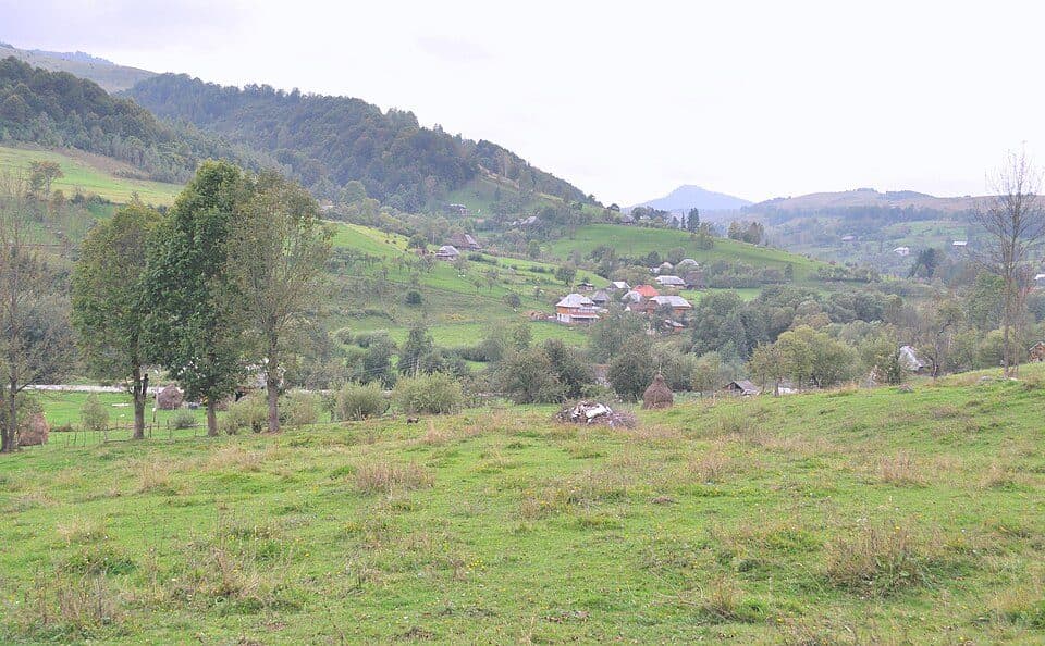 Tureni - Piatra Secuiului - Cabana Râmeț - Platoul Ciumerna - Poiana cu narcise de la Negrileasa