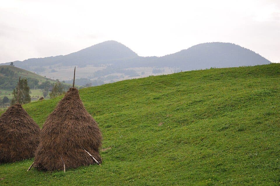 Tureni - Piatra Secuiului - Cabana Râmeț - Platoul Ciumerna - Poiana cu narcise de la Negrileasa