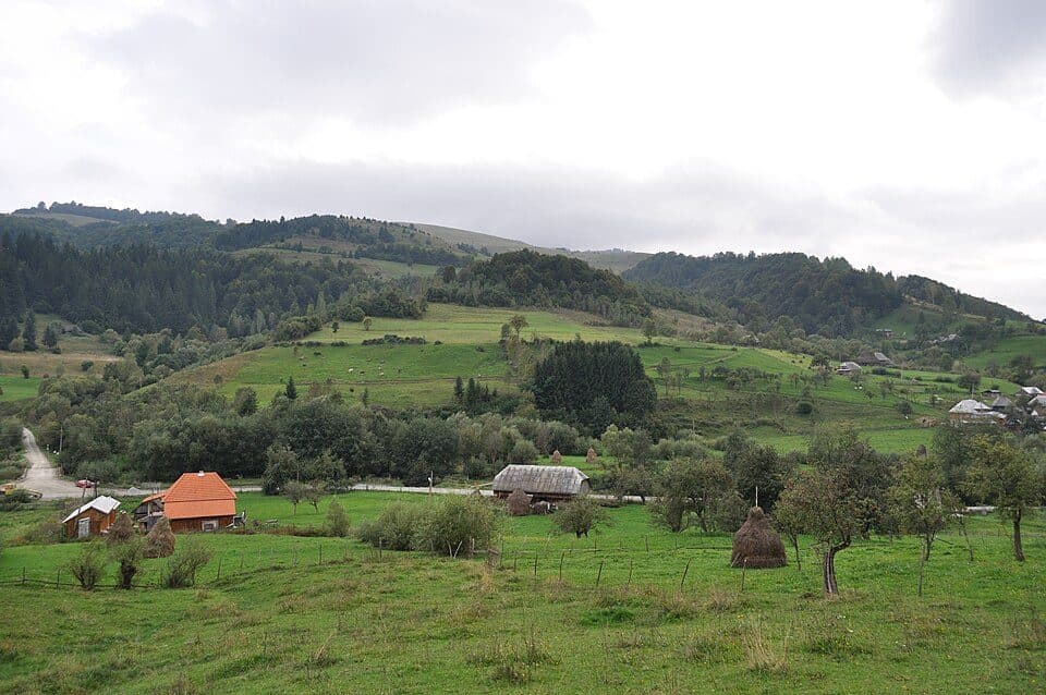 Tureni - Piatra Secuiului - Cabana Râmeț - Platoul Ciumerna - Poiana cu narcise de la Negrileasa