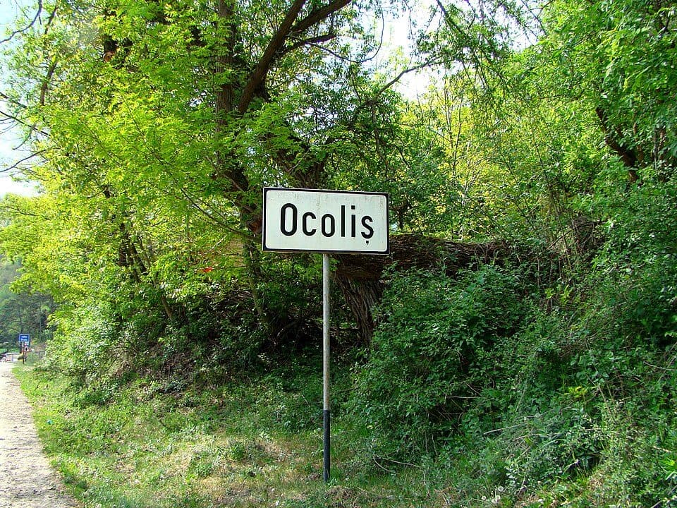 Runc - Ocoliș