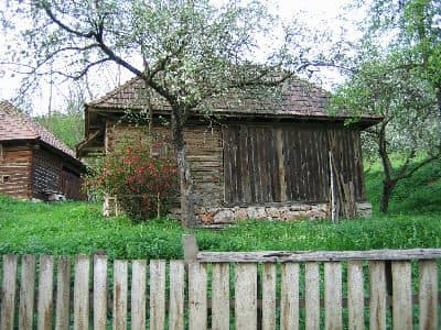Runc - Ocoliș