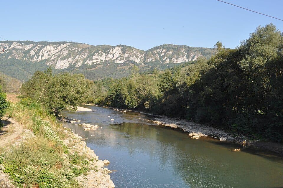 Sălciua de Jos