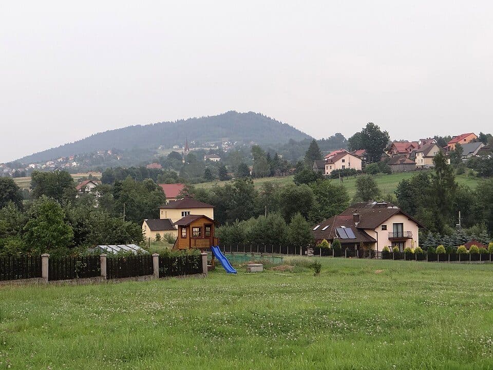 Szlak buków