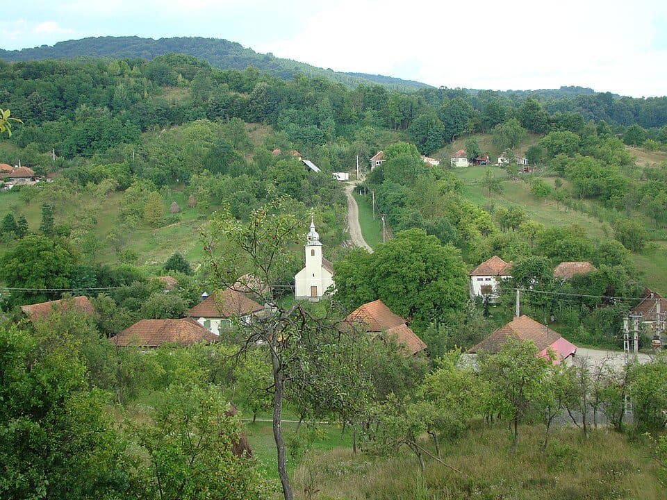 Gara Hălmagiu - Muntele Găina Cruce