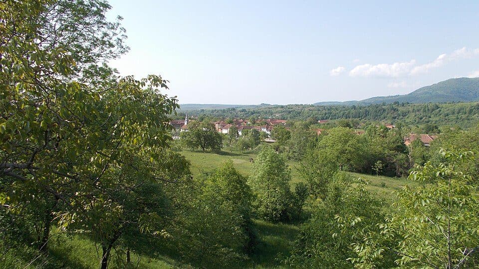 Pietroasa - Valea Galbenei - Șaua Ponița - Arieșeni