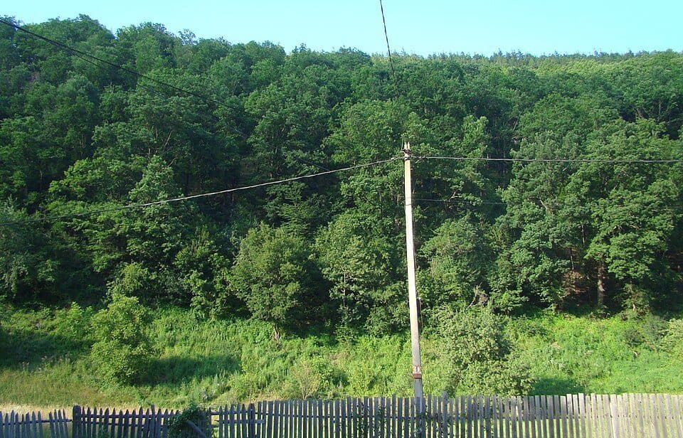 Uzina - Chirilești - Moara de Pădure (La Poruț)