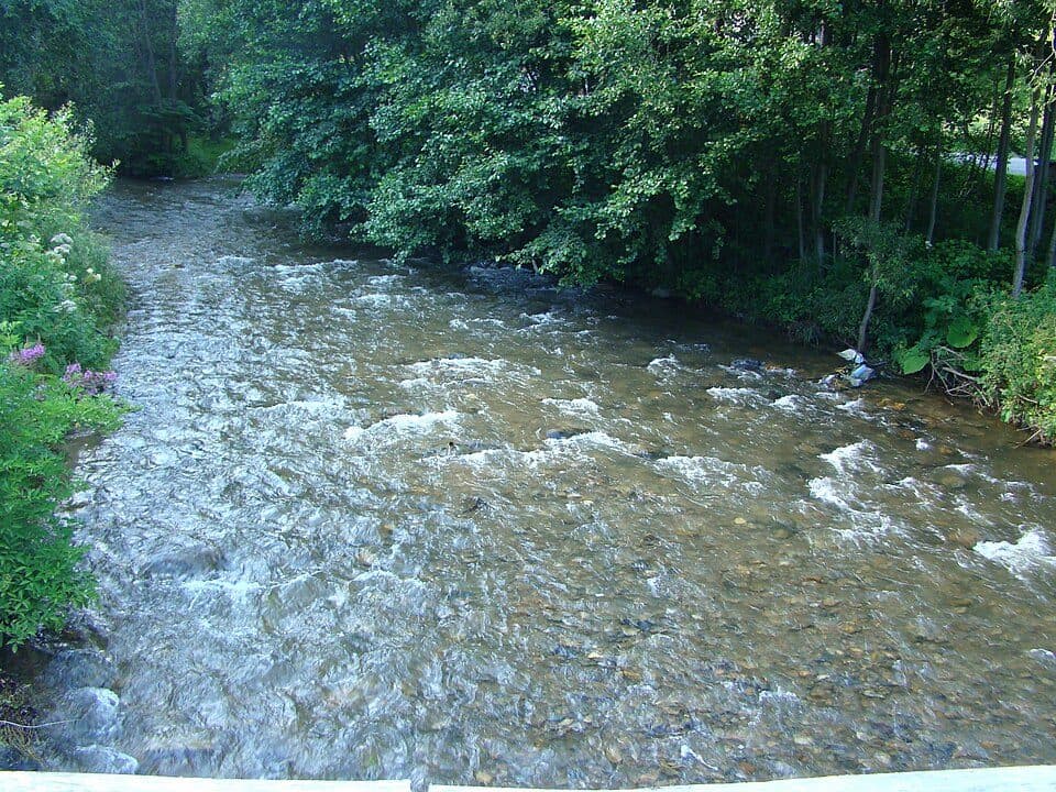 Moara de Pădure