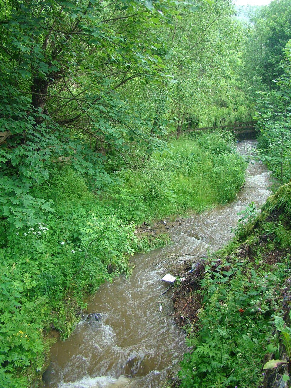 La Cruce - sat Băișoara