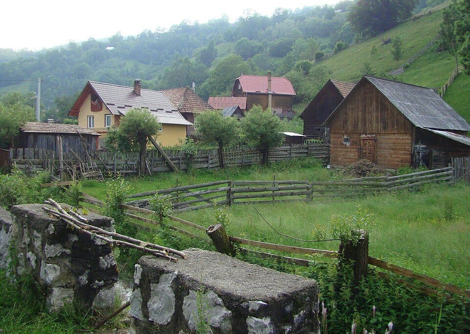 Stațiunea Muntele Băișorii - Gera - Muntele Băișorii (La Cruce)