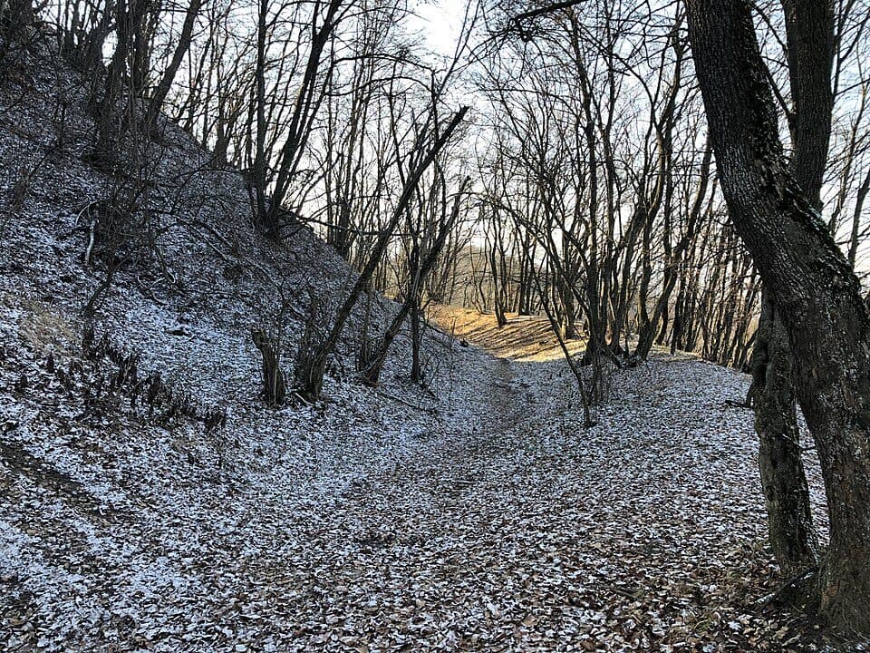 Florești - Cetatea Fetei