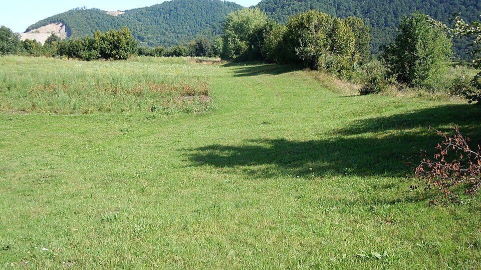 Bologa: Moara-Cetate-Centru