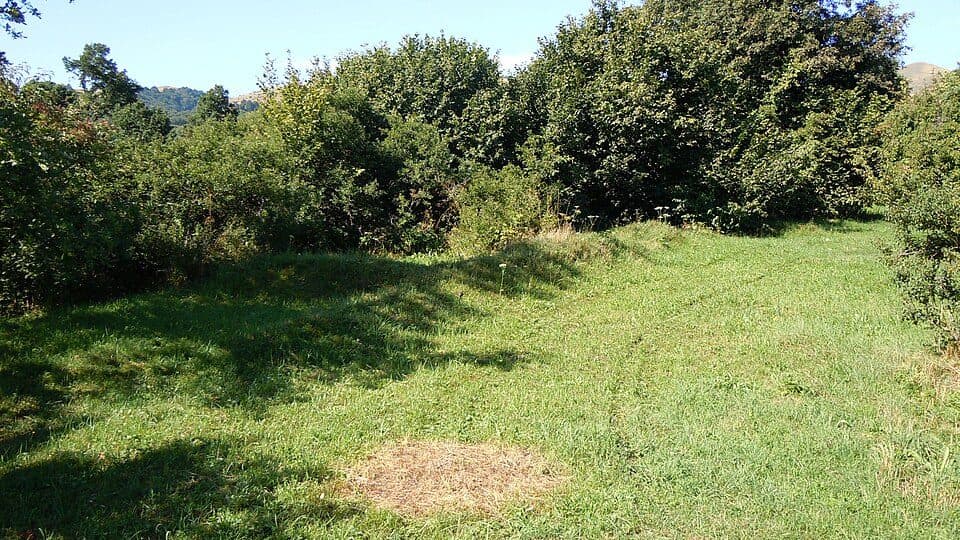Bologa: Moara-Cetate-Centru