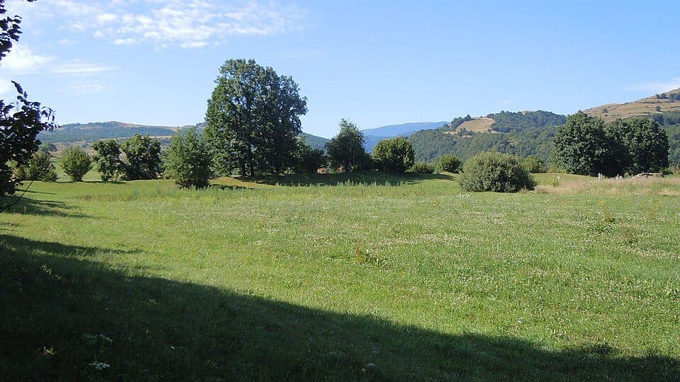 Bologa: Moara-Cetate-Centru