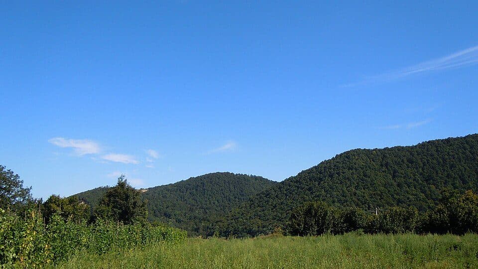 Bologa: Moara-Cetate-Centru
