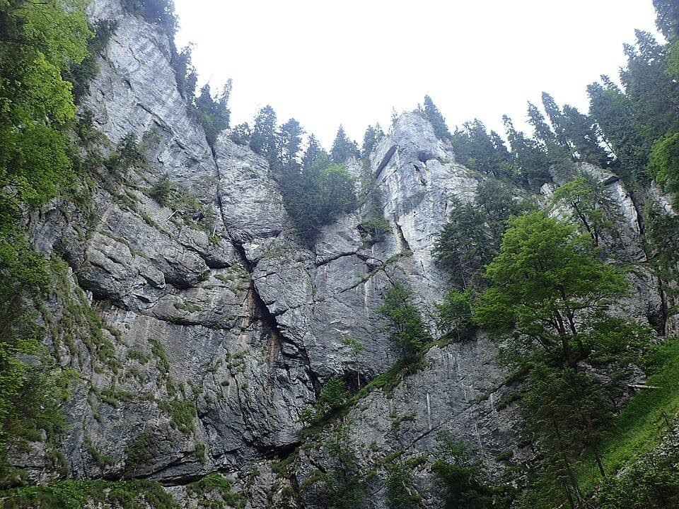 Circuitul Galbenei
