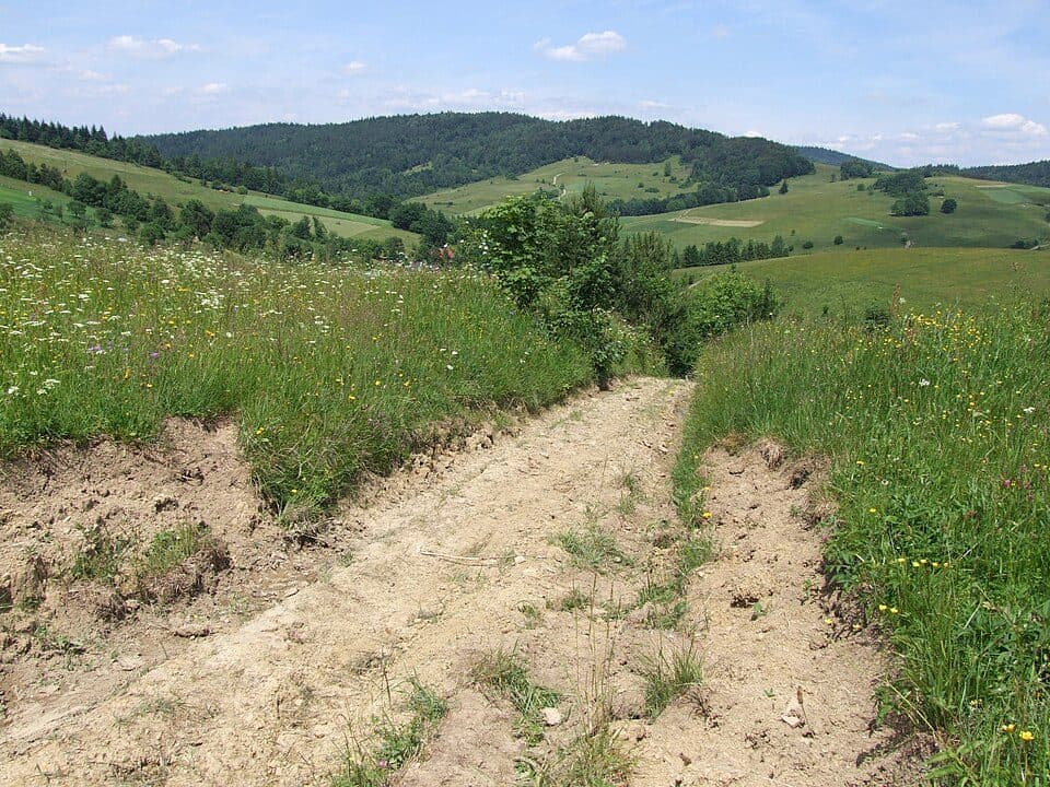 Pusta (822 m) — zdjęcie 2