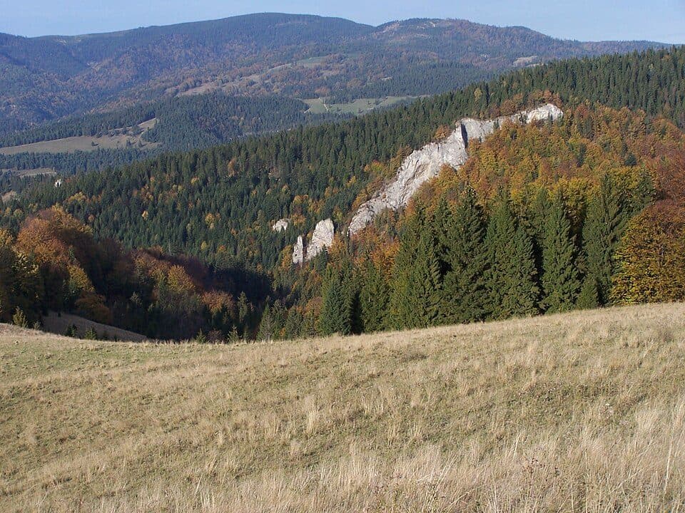 Góra Repowa — zdjęcie 2
