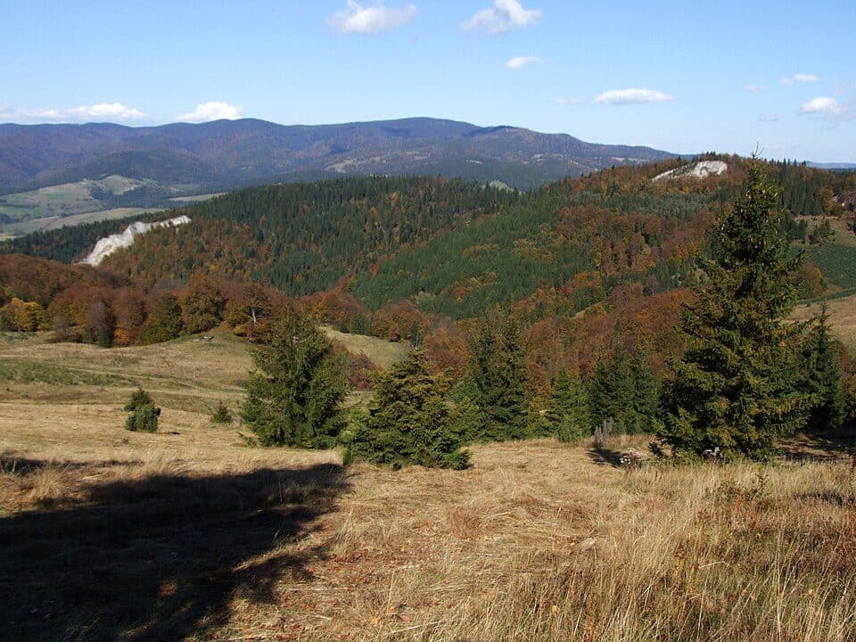 Góra Repowa