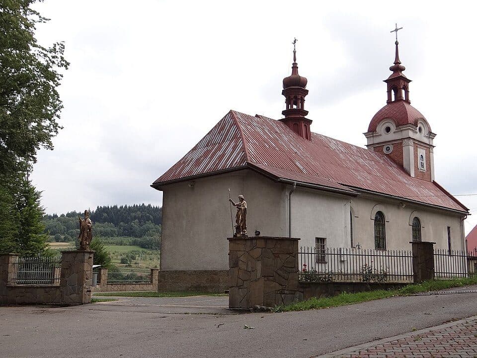 Cisy Raciborowskiego