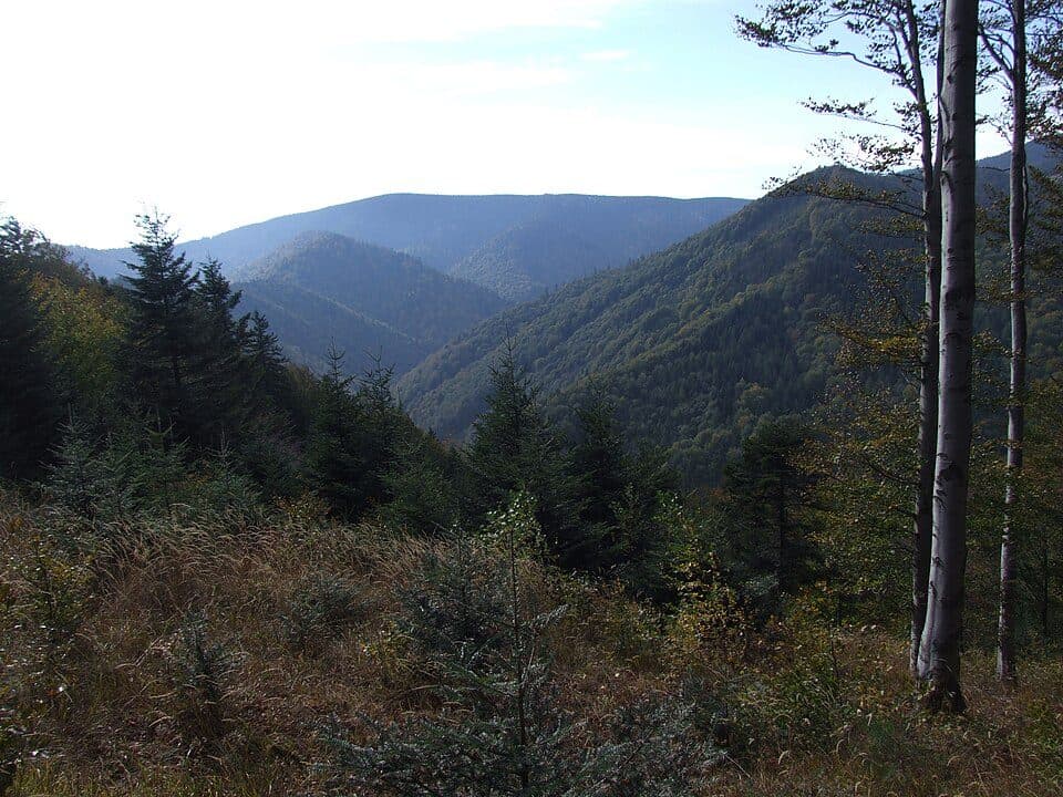 Szlak Rogasiowy (1)