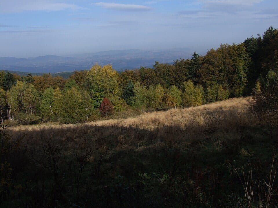 Wdżary Wyżne