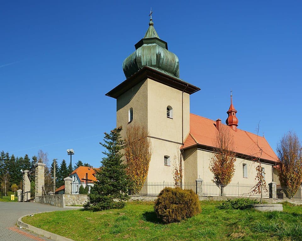 Cisy Raciborowskiego