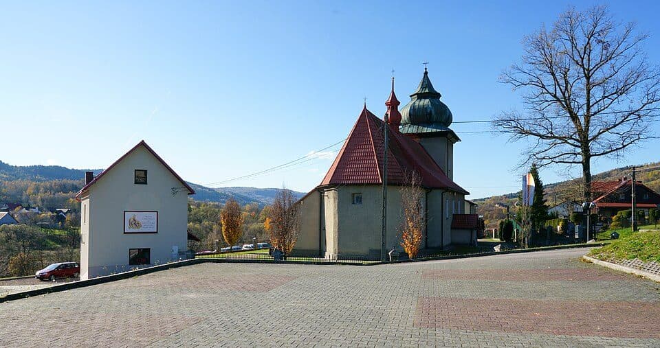 Cisy Raciborowskiego