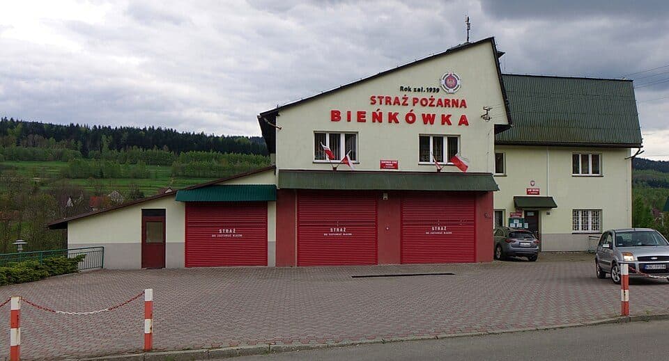 Cisy Raciborowskiego