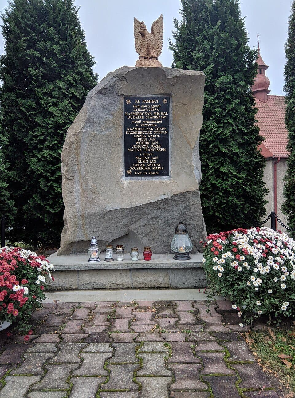 Cisy Raciborowskiego
