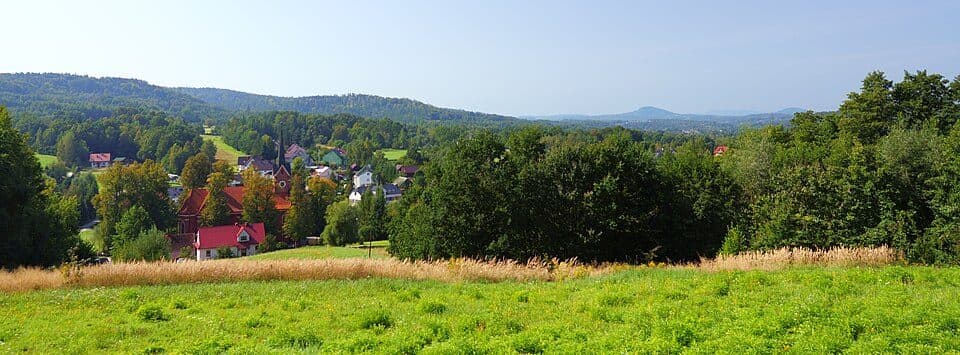 Krzywaczka