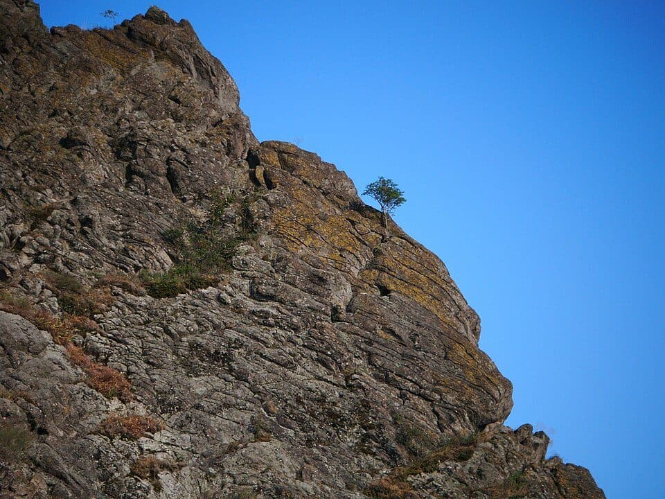 Devadat