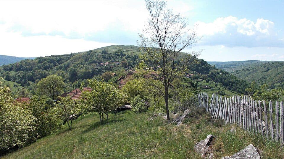 Poienița Voinii