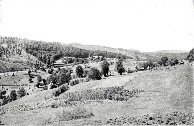 Traseul Galben
