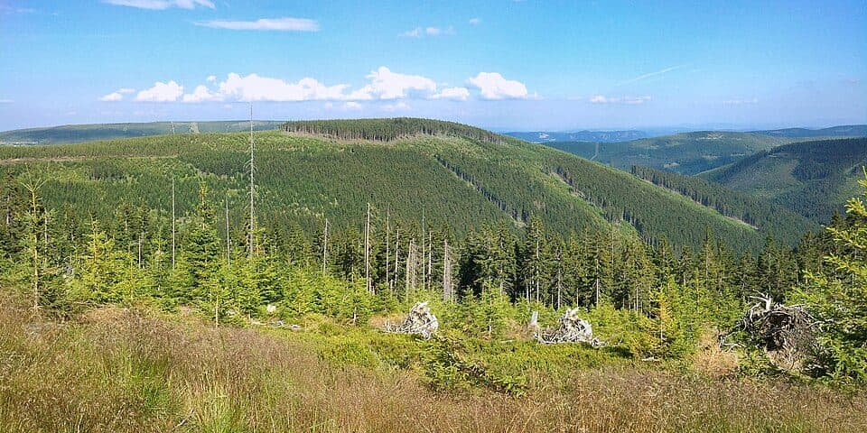 Jelení hora (Löwenberg)