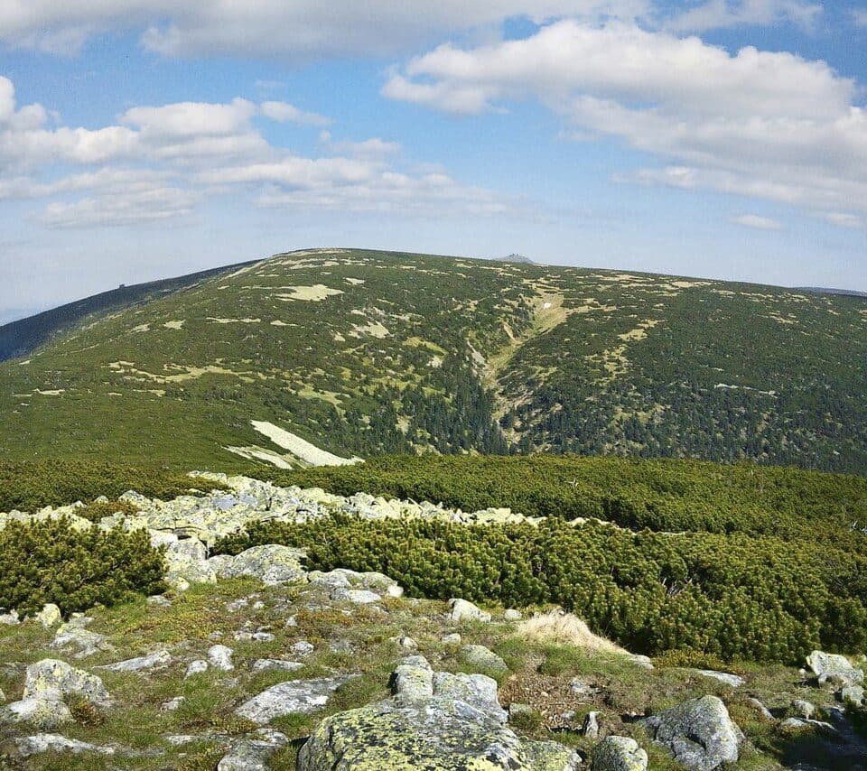 Smogornia