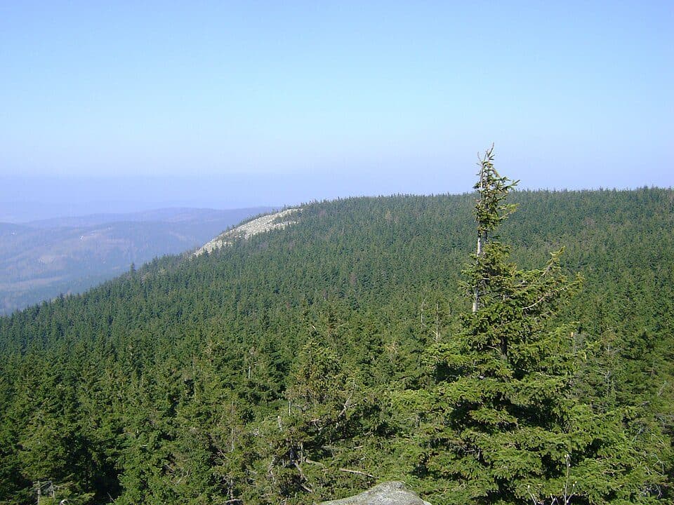 Skalnik (Rudawy Janowickie)