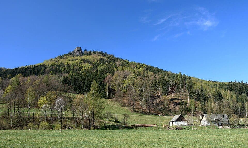 Sokolik