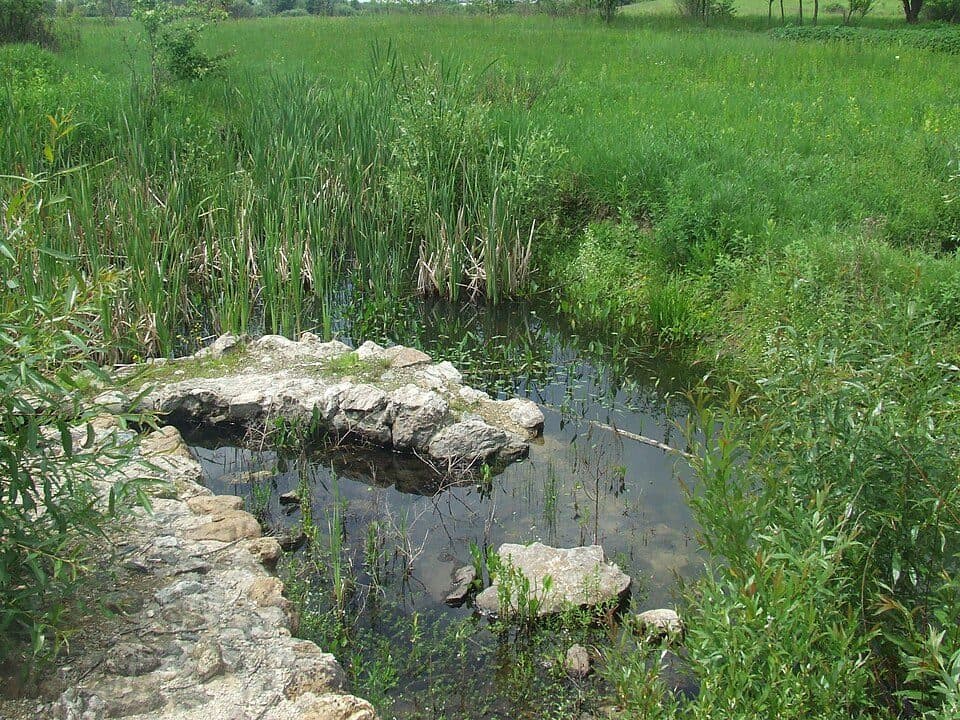 Cetatea Făget
